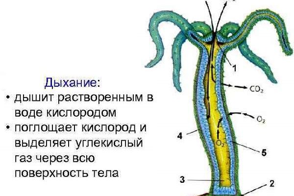 Новая ссылка на кракен